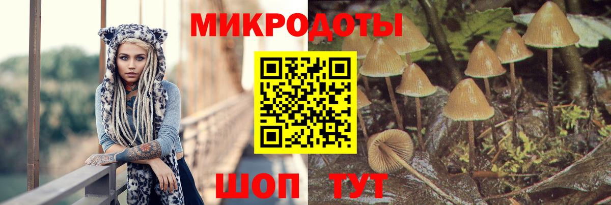 Галлюциногенные грибы мицелий  Вход с VPN  Ессентуки 